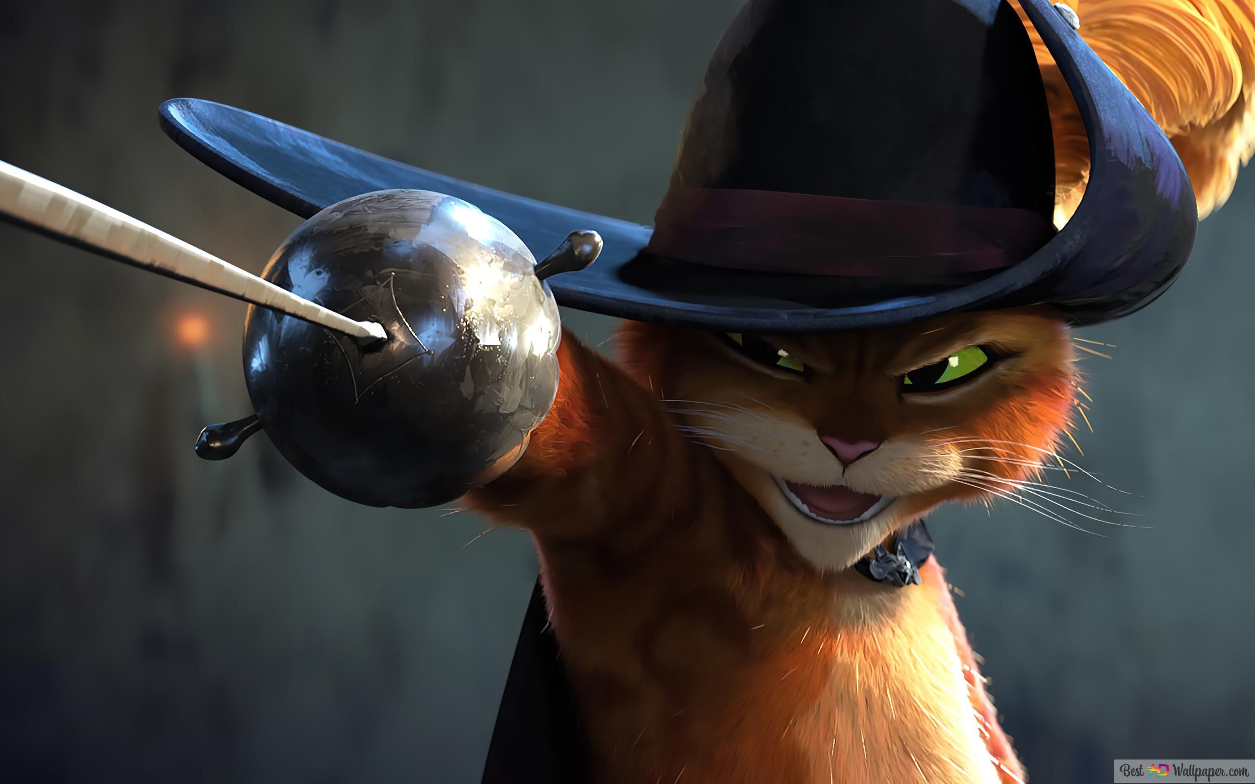 Fondo de pantalla de  2560x1600