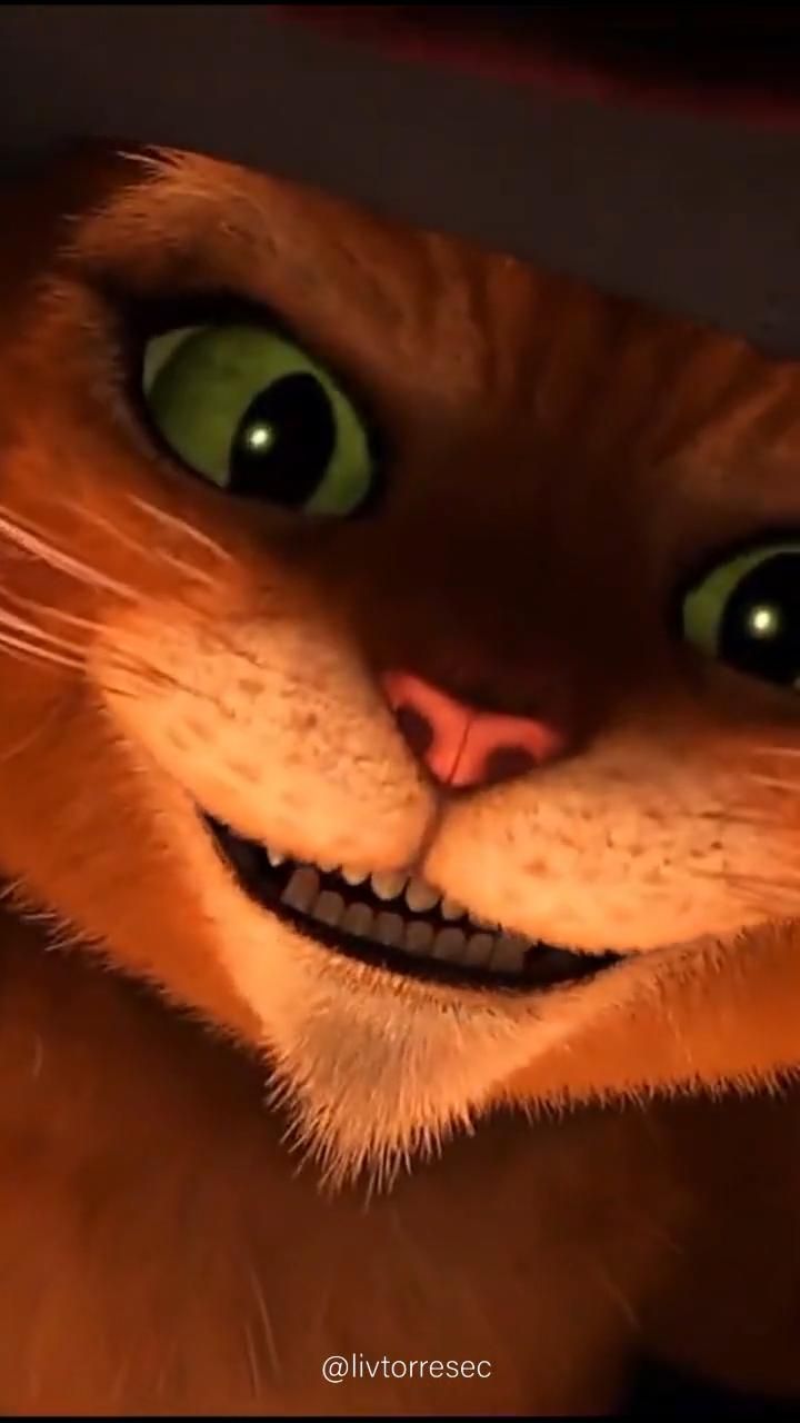 Fondo de pantalla de  720x1280