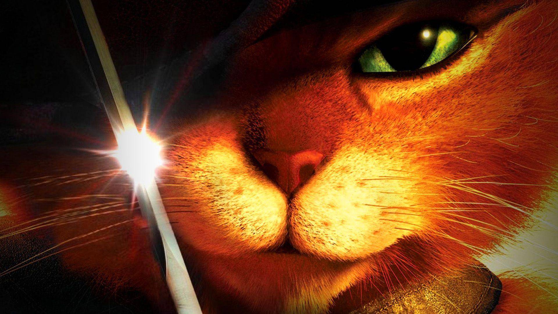 Fondo de pantalla de  1920x1080