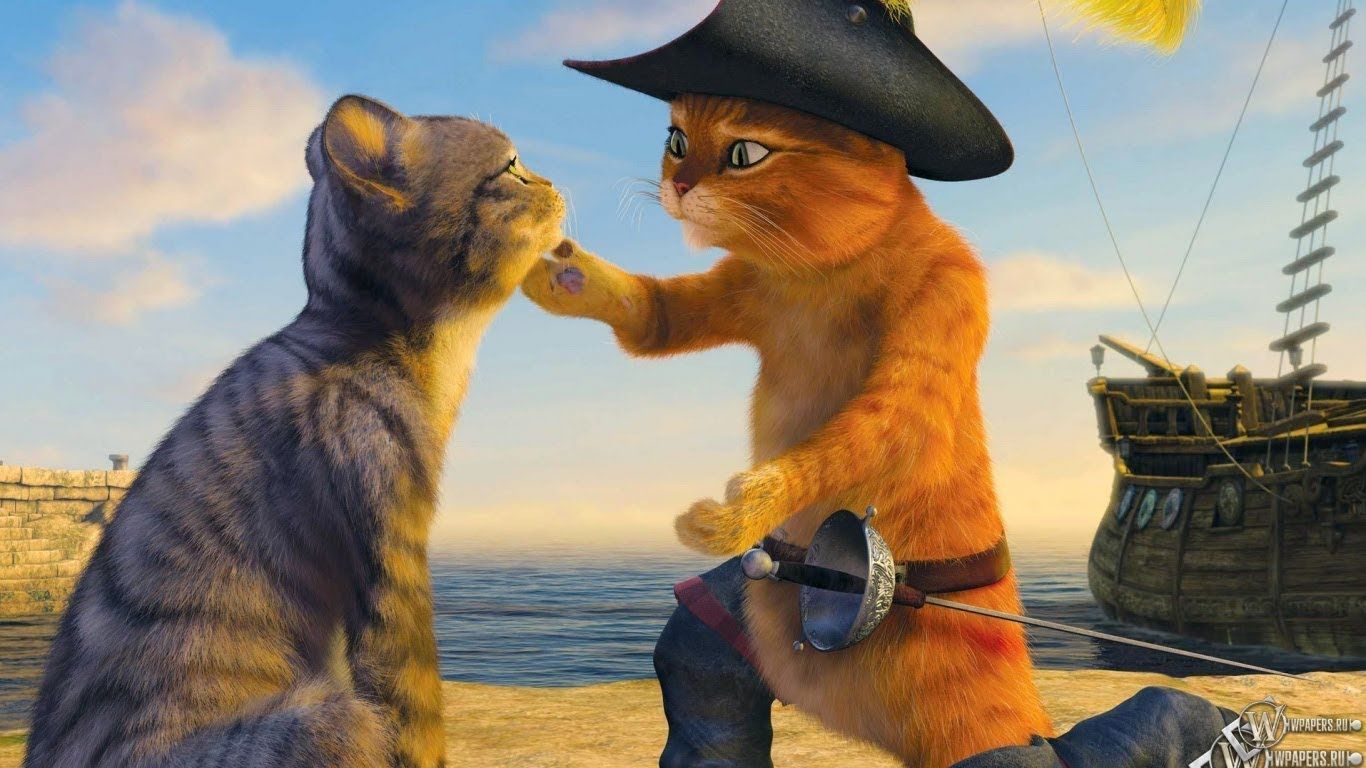 Fondo de pantalla de  1366x768