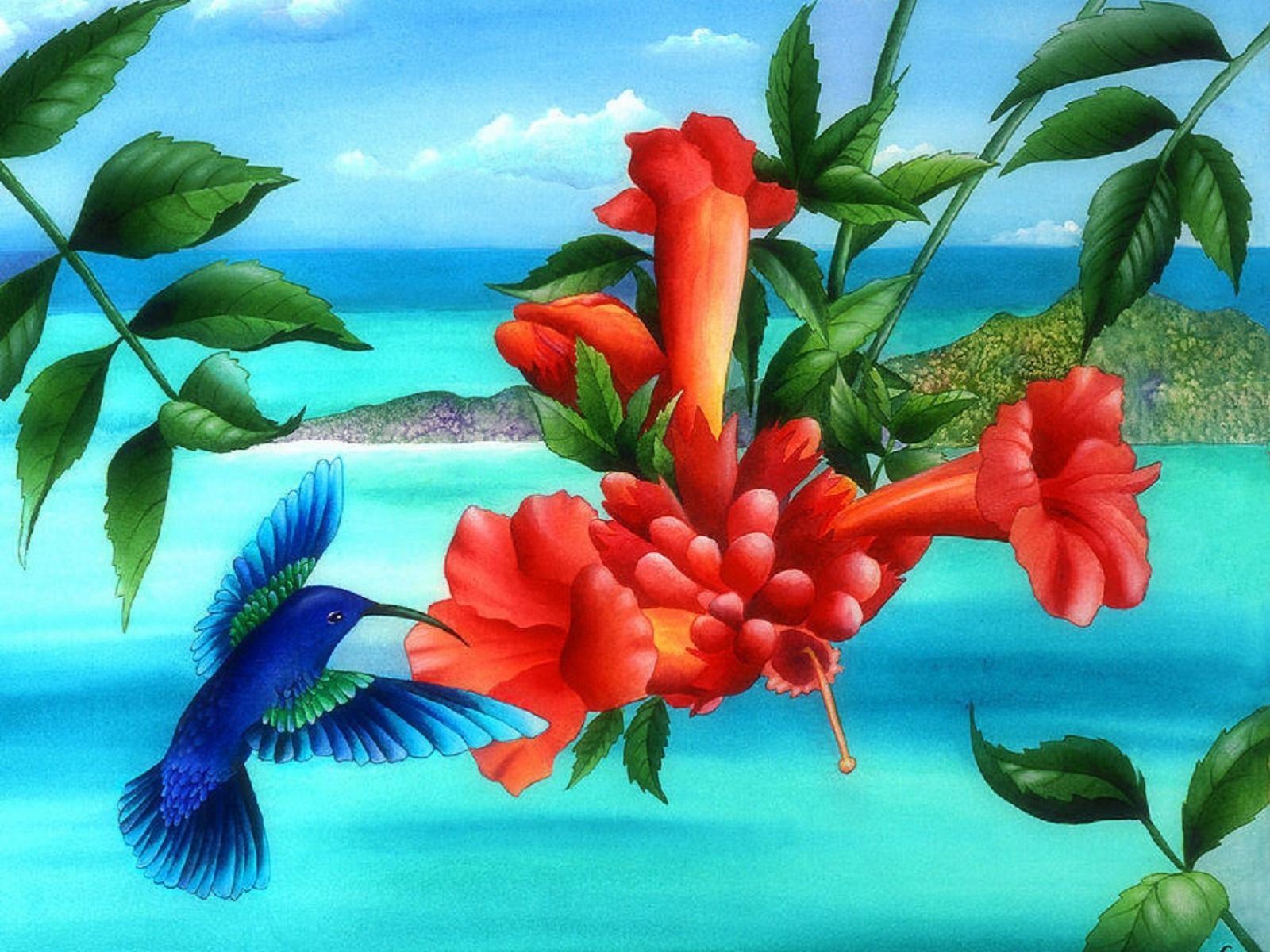 Fondo de pantalla de  1600x1200