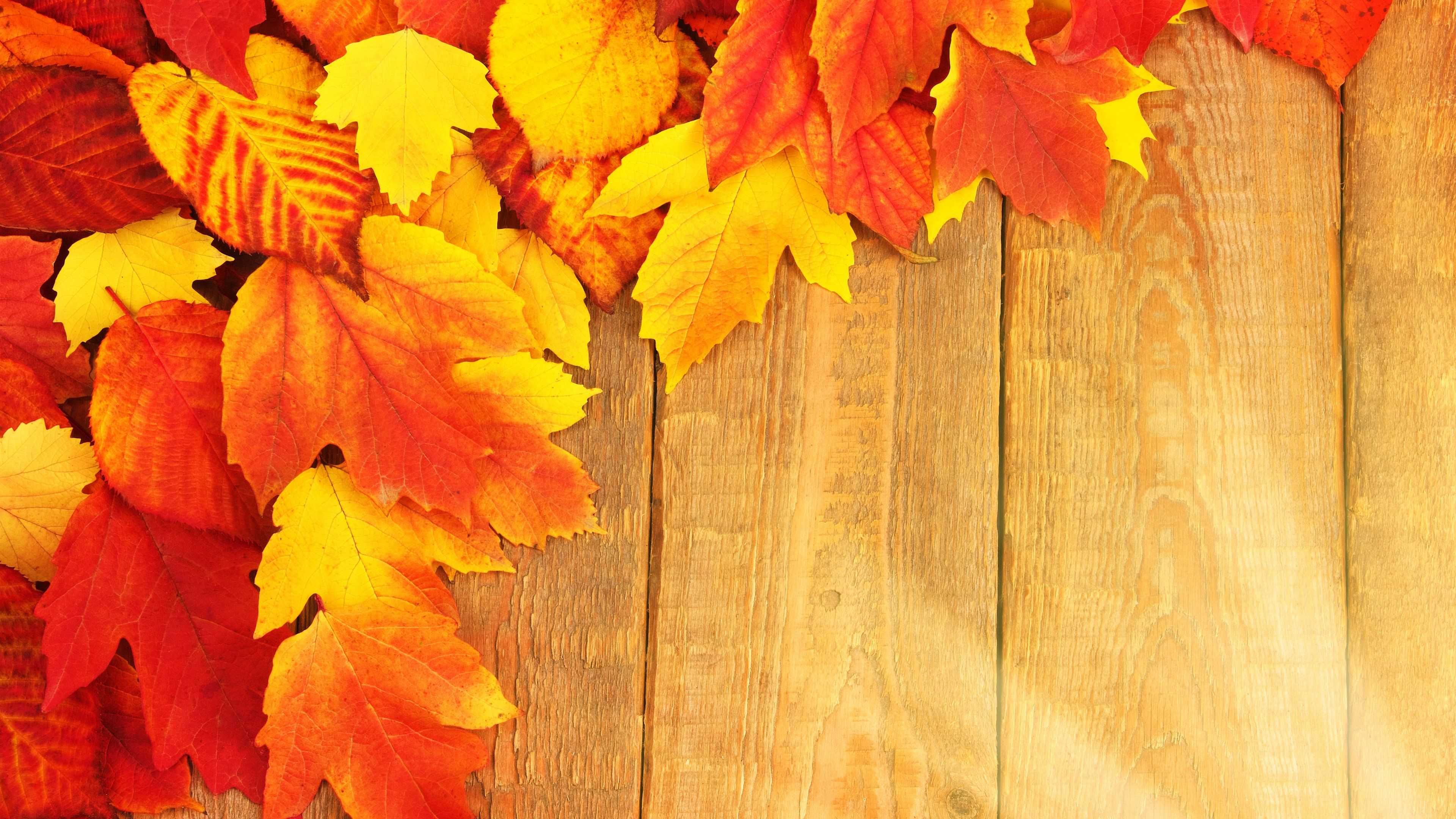 Fondo de pantalla  anaranjado 3840x2160