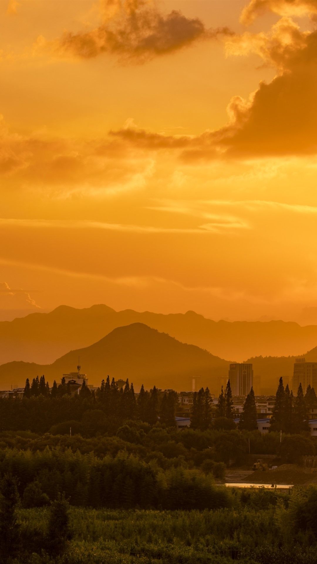 Fondo de pantalla  anaranjado 1080x1920