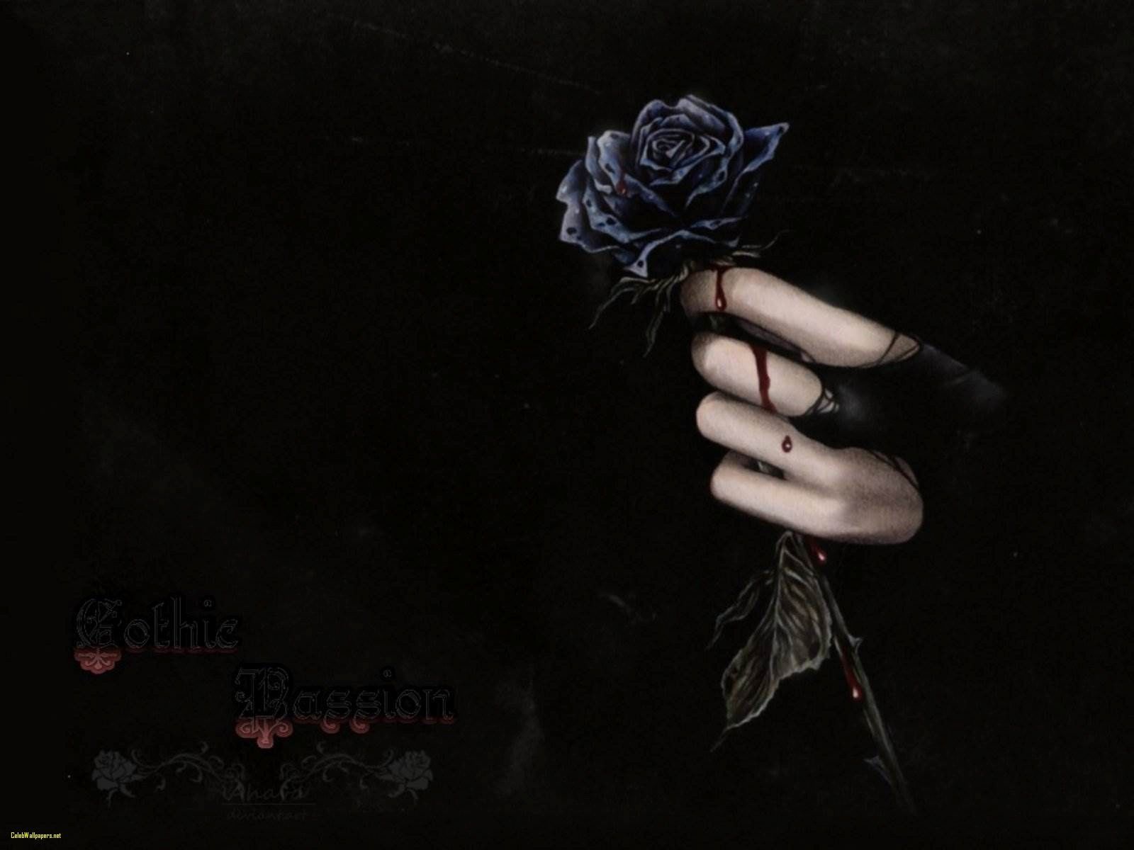 Black Rose Wallpapers - Los mejores fondos de Black Rose