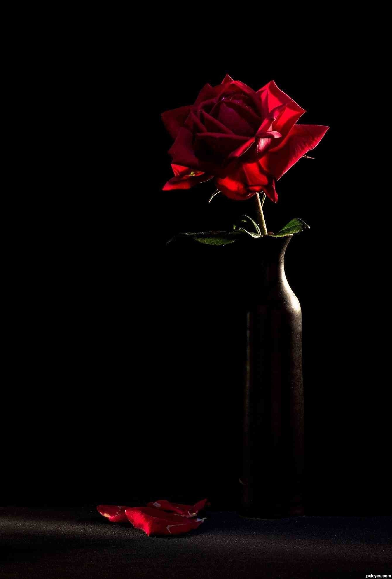 62+ Fondos de Black Roses