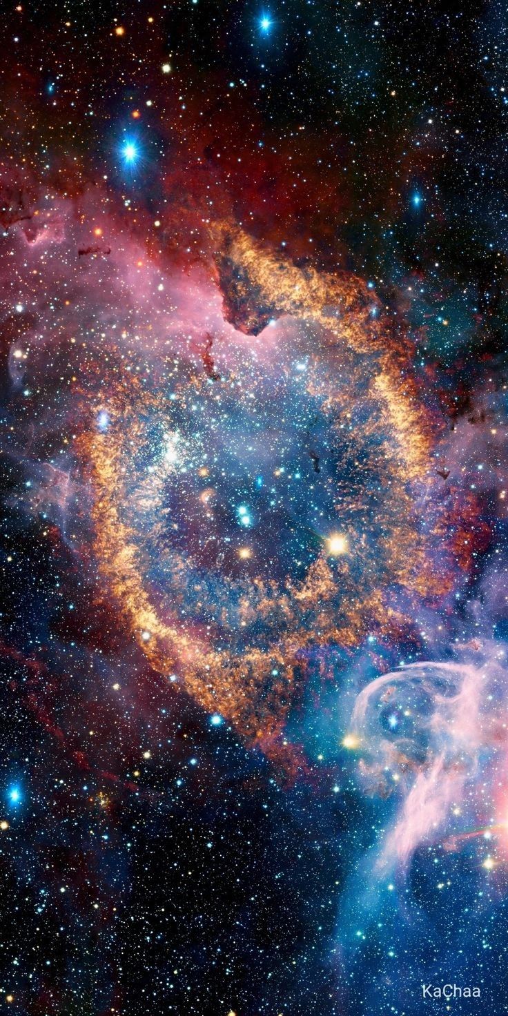 Fondo de pantalla del  736x1472