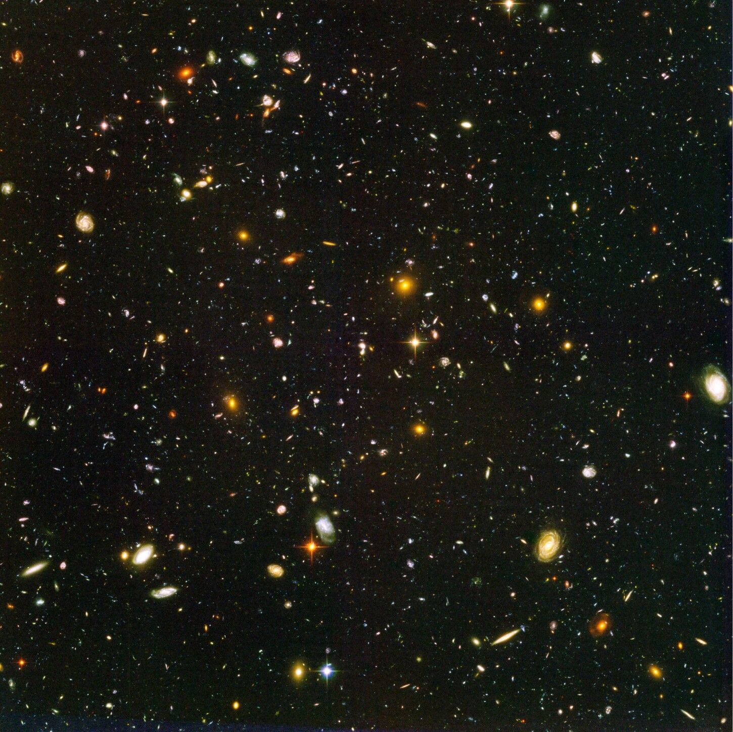 Fondo de pantalla del  1450x1449
