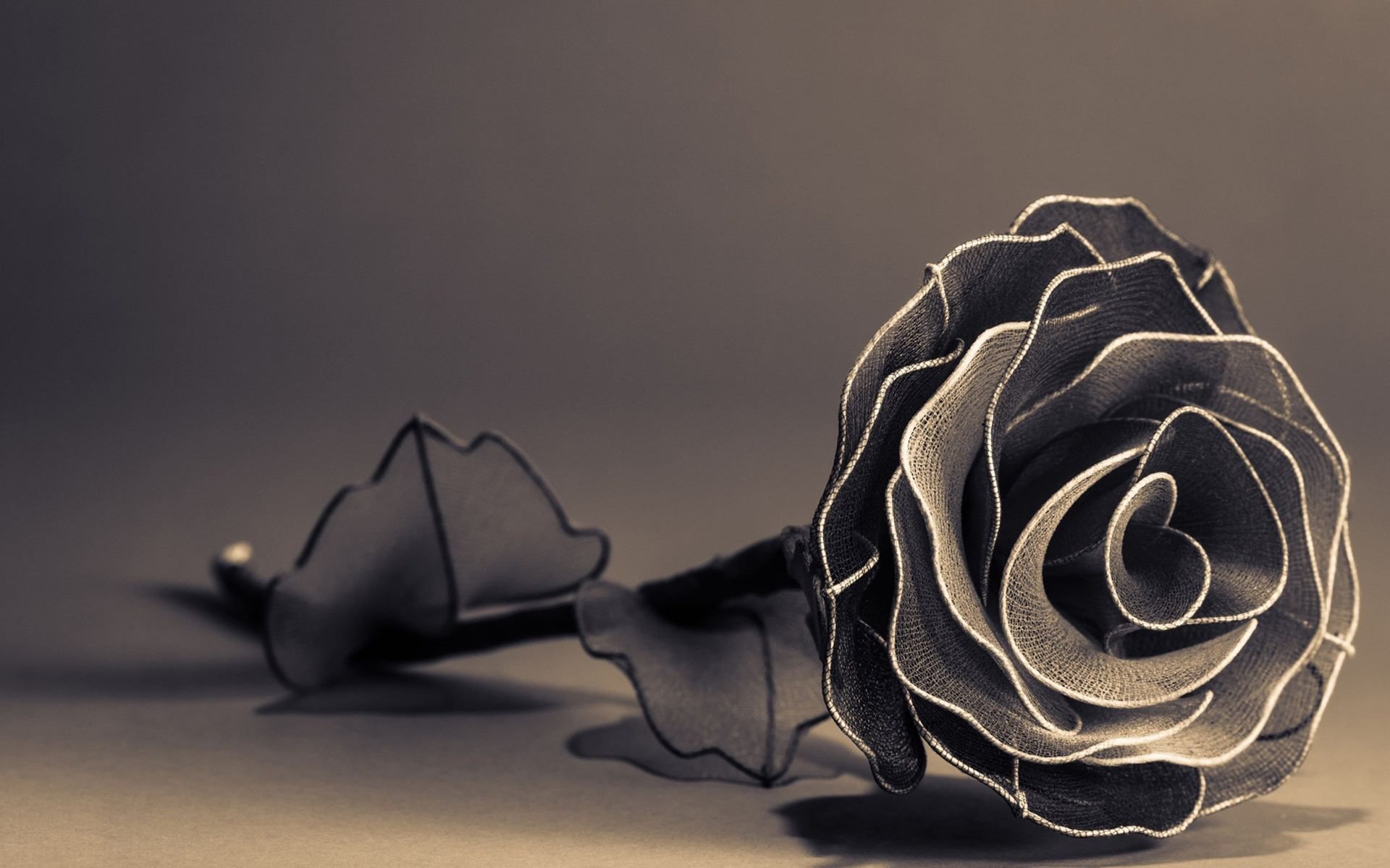 HD Black Rose Fondos de pantalla | Pinofy.Net
