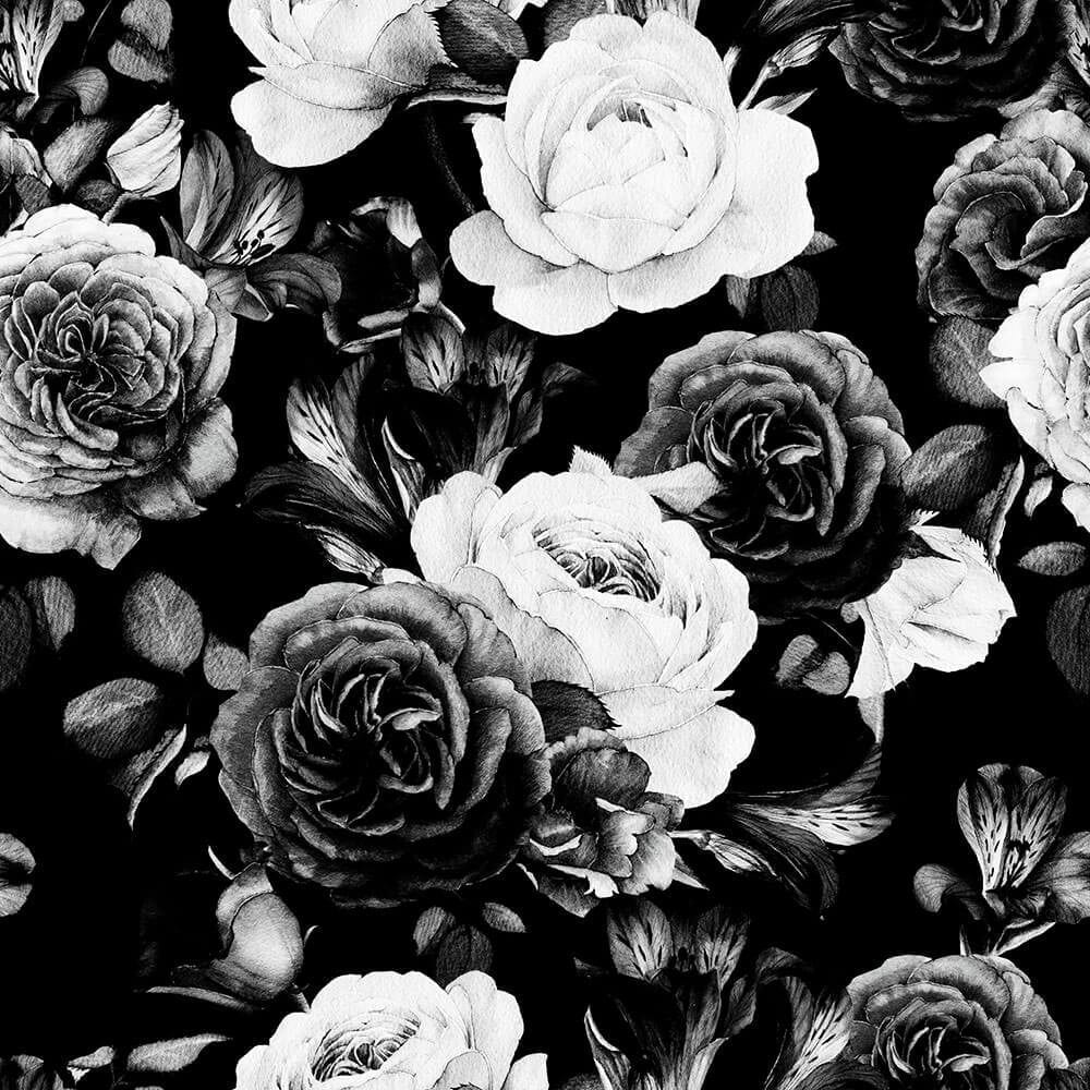 Black Rose Wallpaper Mural | 41 huerto