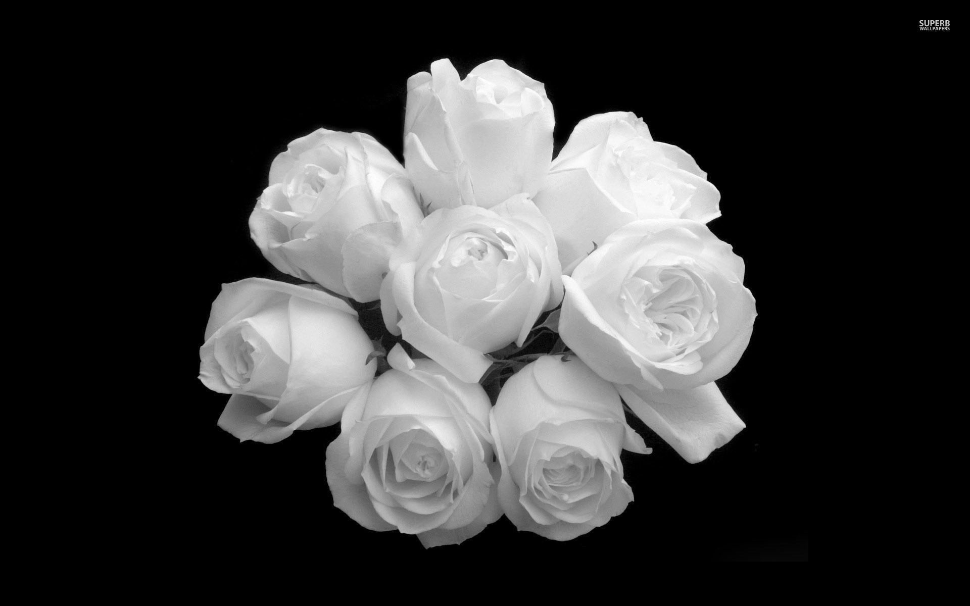 62+ Fondos de Black Roses