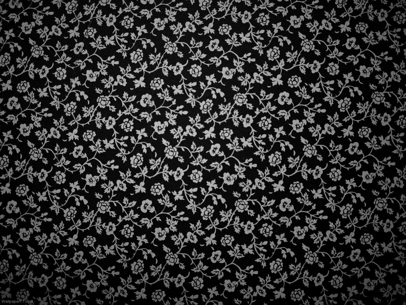 Galería de fondo de rosas negras