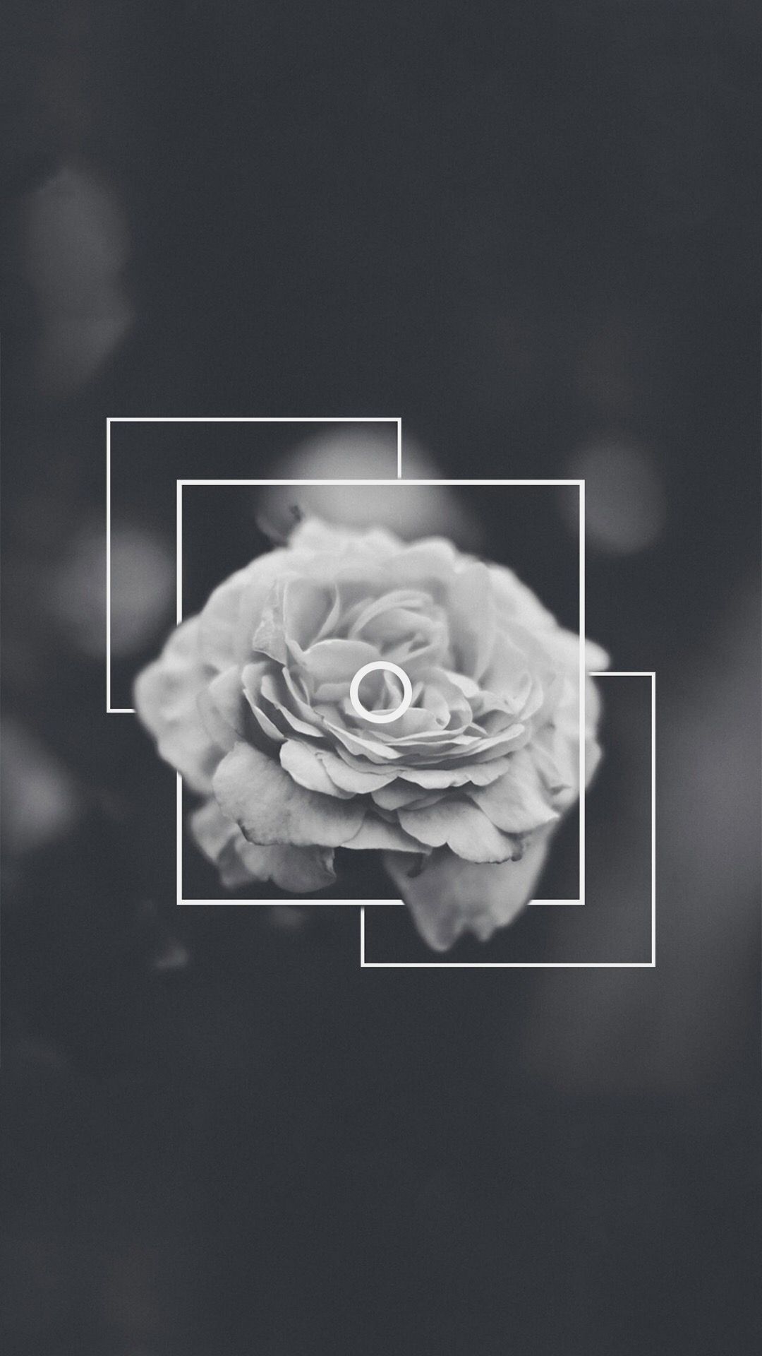 Fondo de pantalla de Black Aesthetic - Black Rose Wallpaper Aesthetic Free