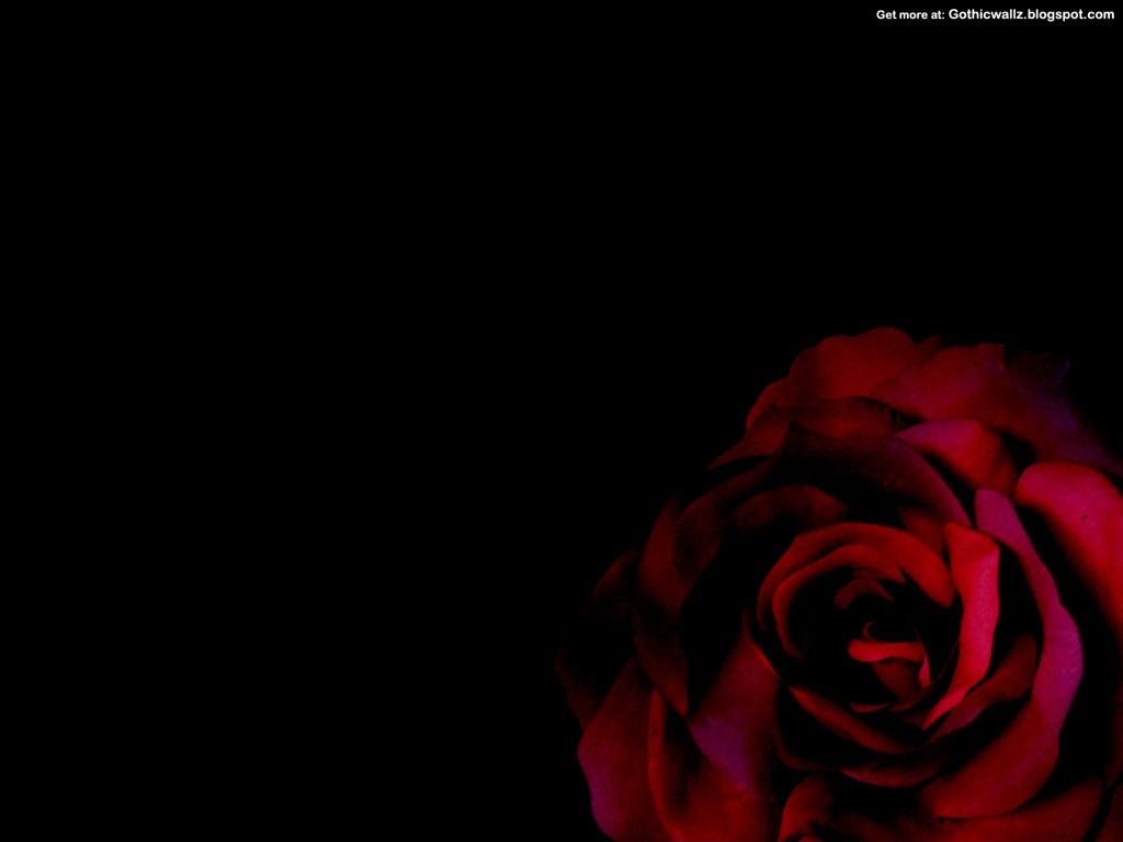papel pintado rosa negro