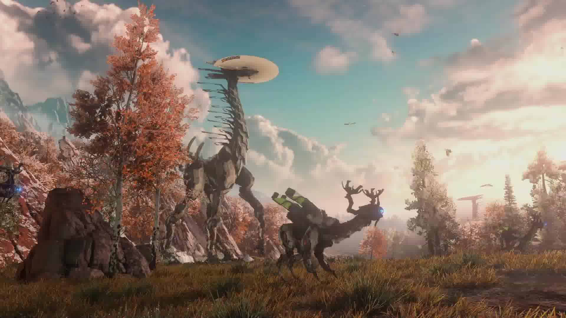 Fondo de pantalla de  1920x1080