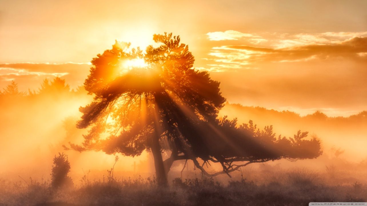 Sun Hd Fondos de pantalla | Mejores fondos de pantalla