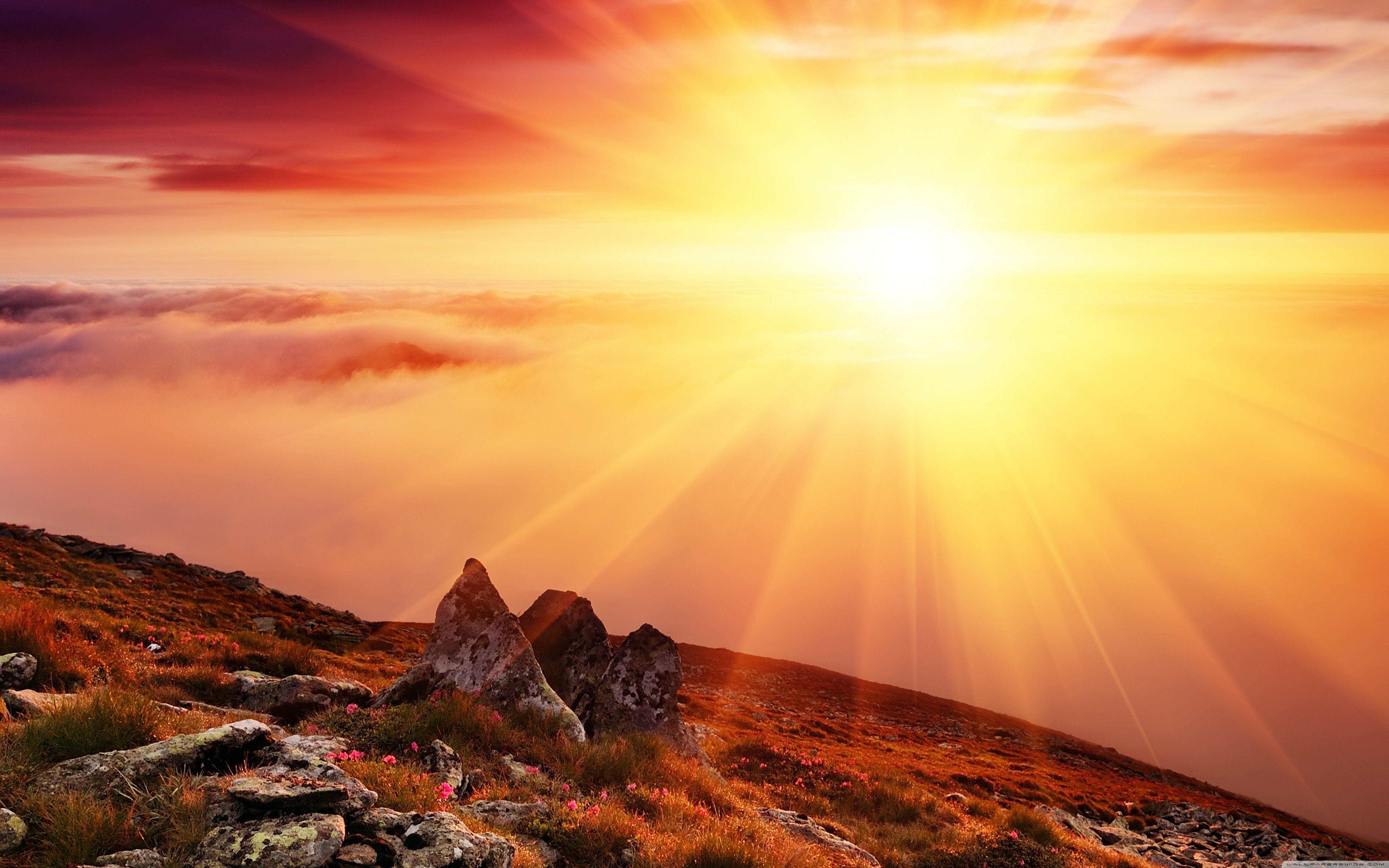 Sun Wallpapers 4K (5120x3200) | WallpapersExpert.com