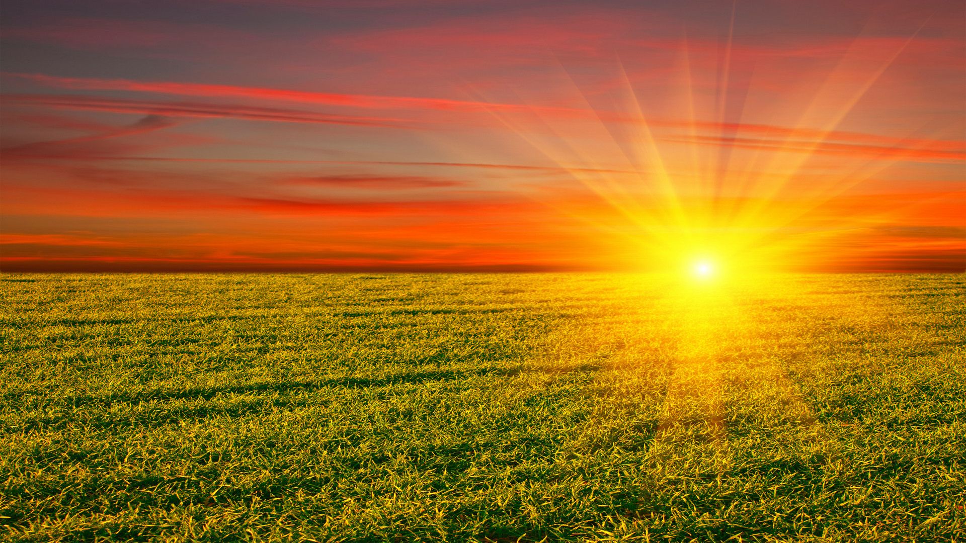 Más de 70 fondos de luz solar