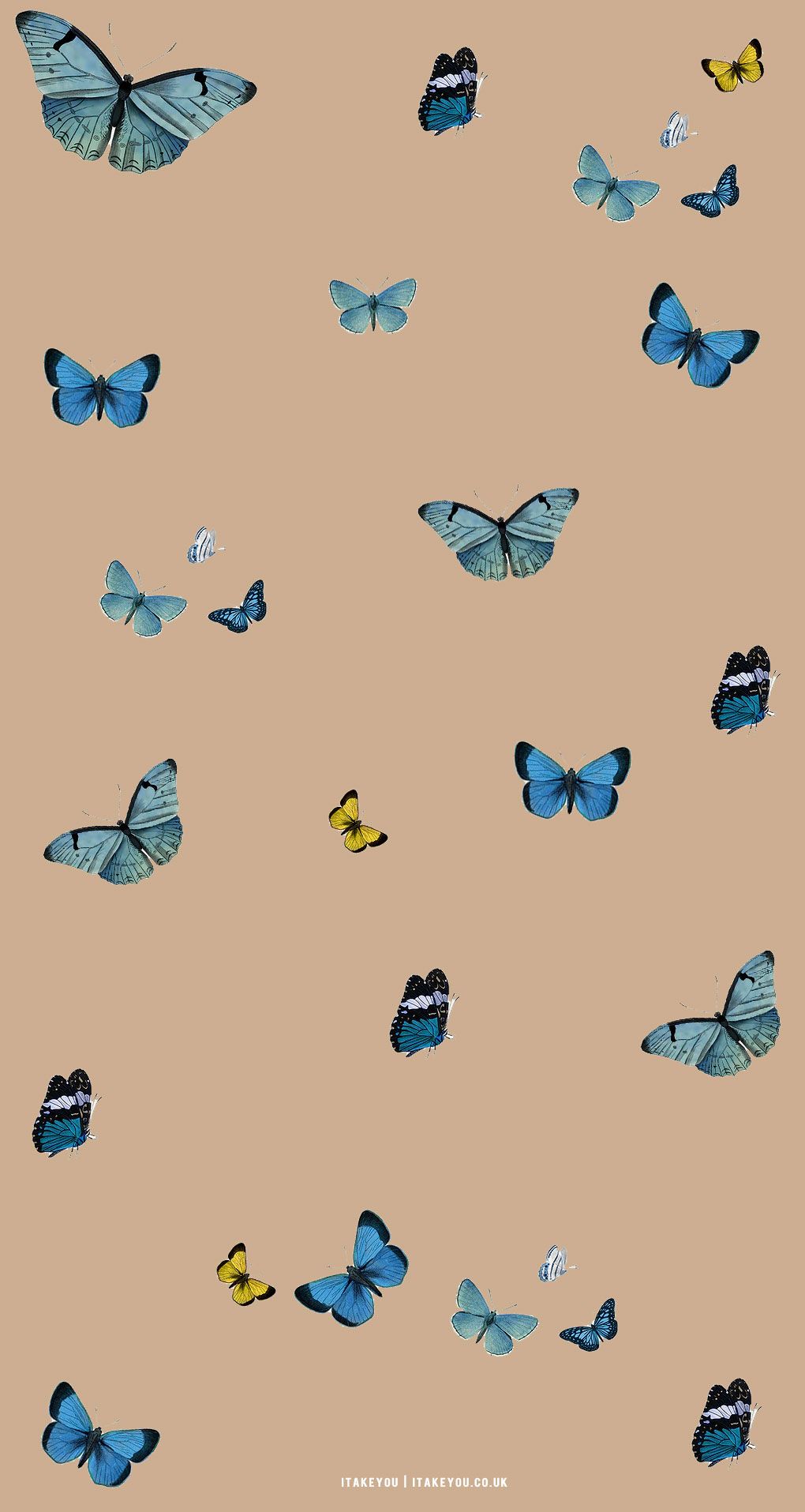 Fondo de pantalla   1020x1915