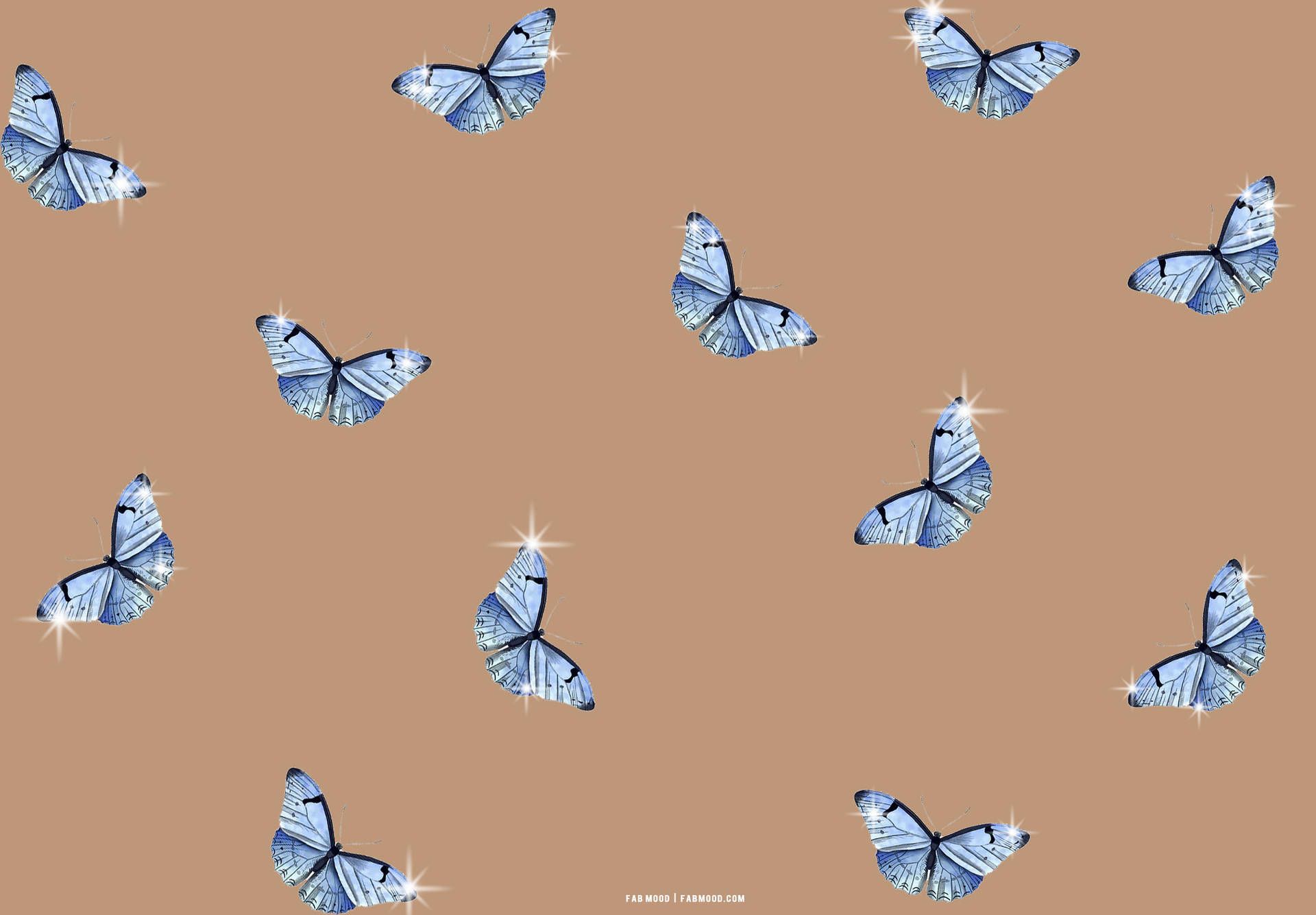 Fondo de pantalla   1920x1335