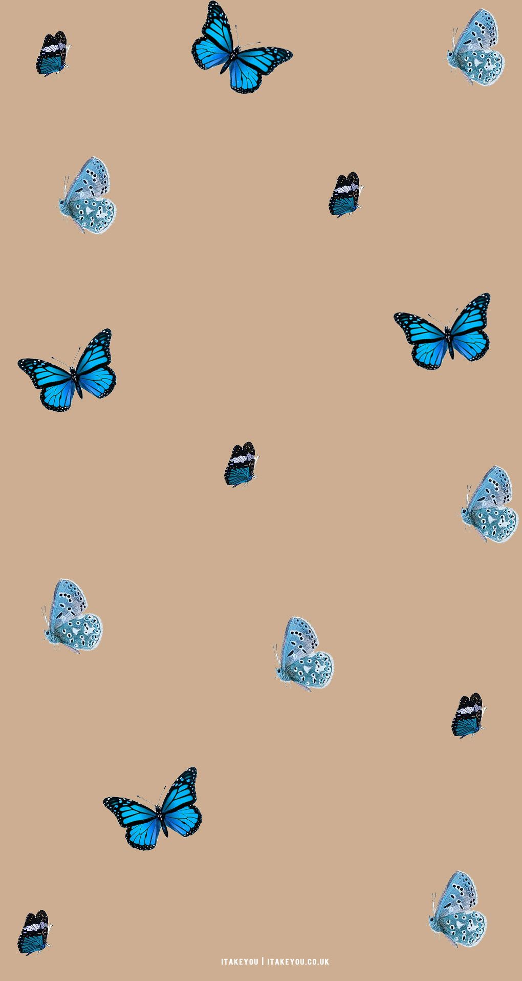 Fondo de pantalla   1020x1915