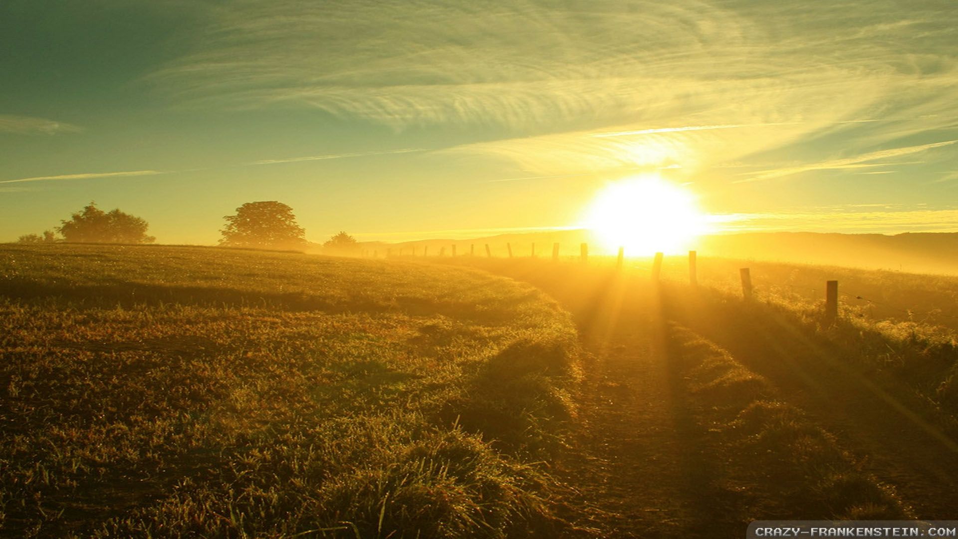 Sun HD Wallpaper, imágenes de fondo