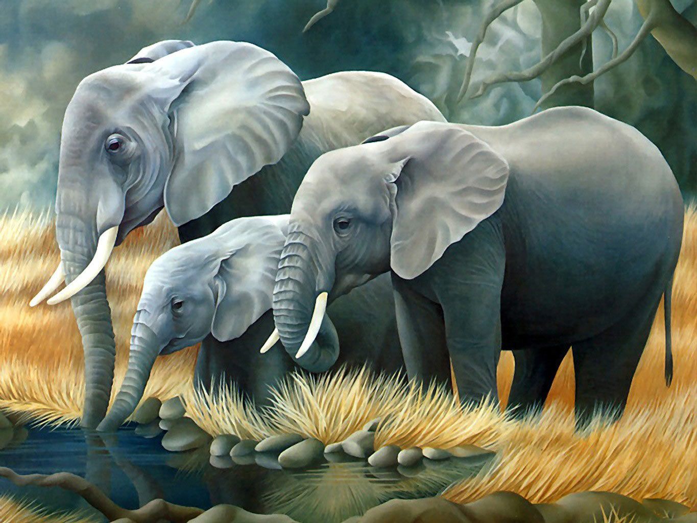 Escritorio dibujos animados bebé elefante imágenes fondo de pantalla