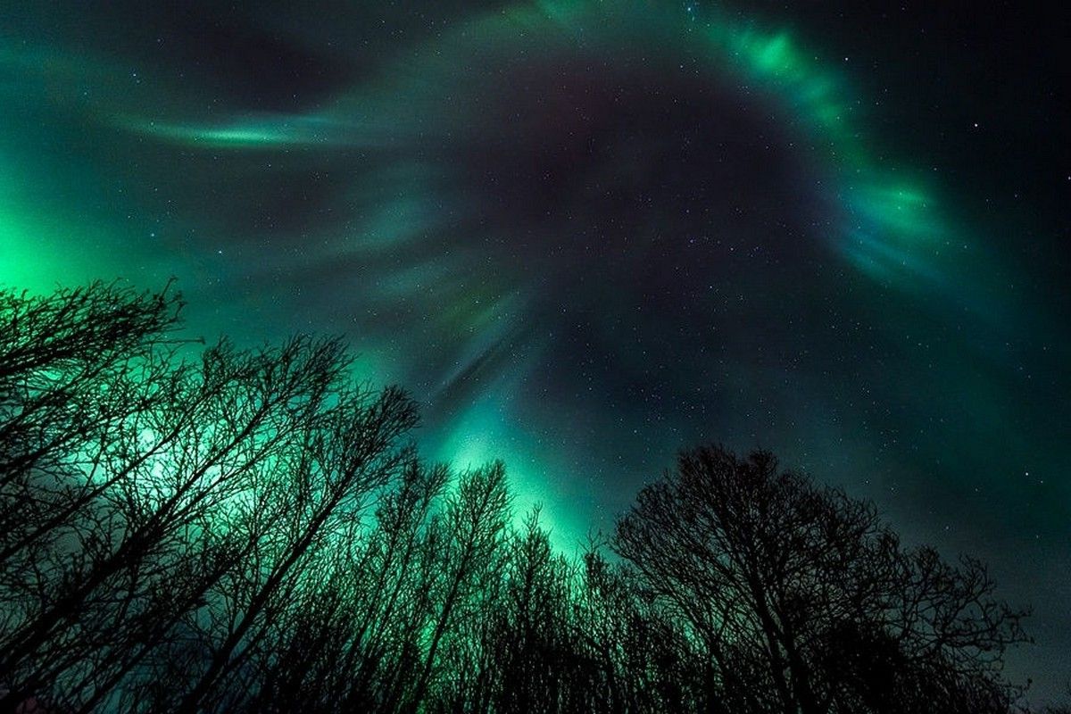 Fondos de pantalla: árboles, paisaje, luces, naturaleza, cielo, verde, estrellado