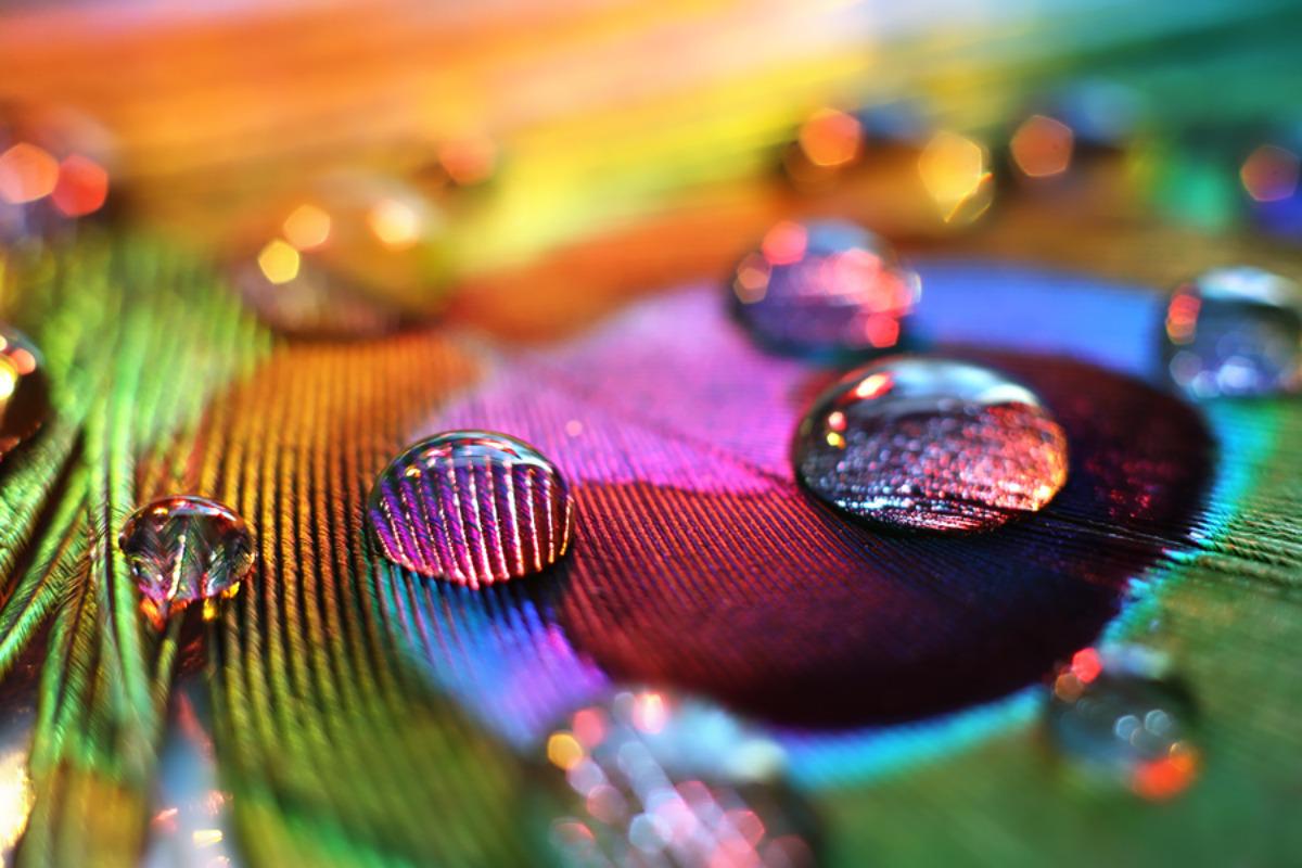 100% Feather HD Wallpapers, 1200x800 px - gratis aquí en