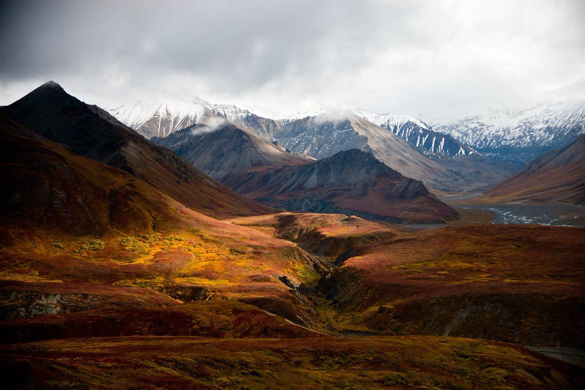 5830402 1200x800 denali fondo de pantalla para escritorio | denali | Tokkoro.com
