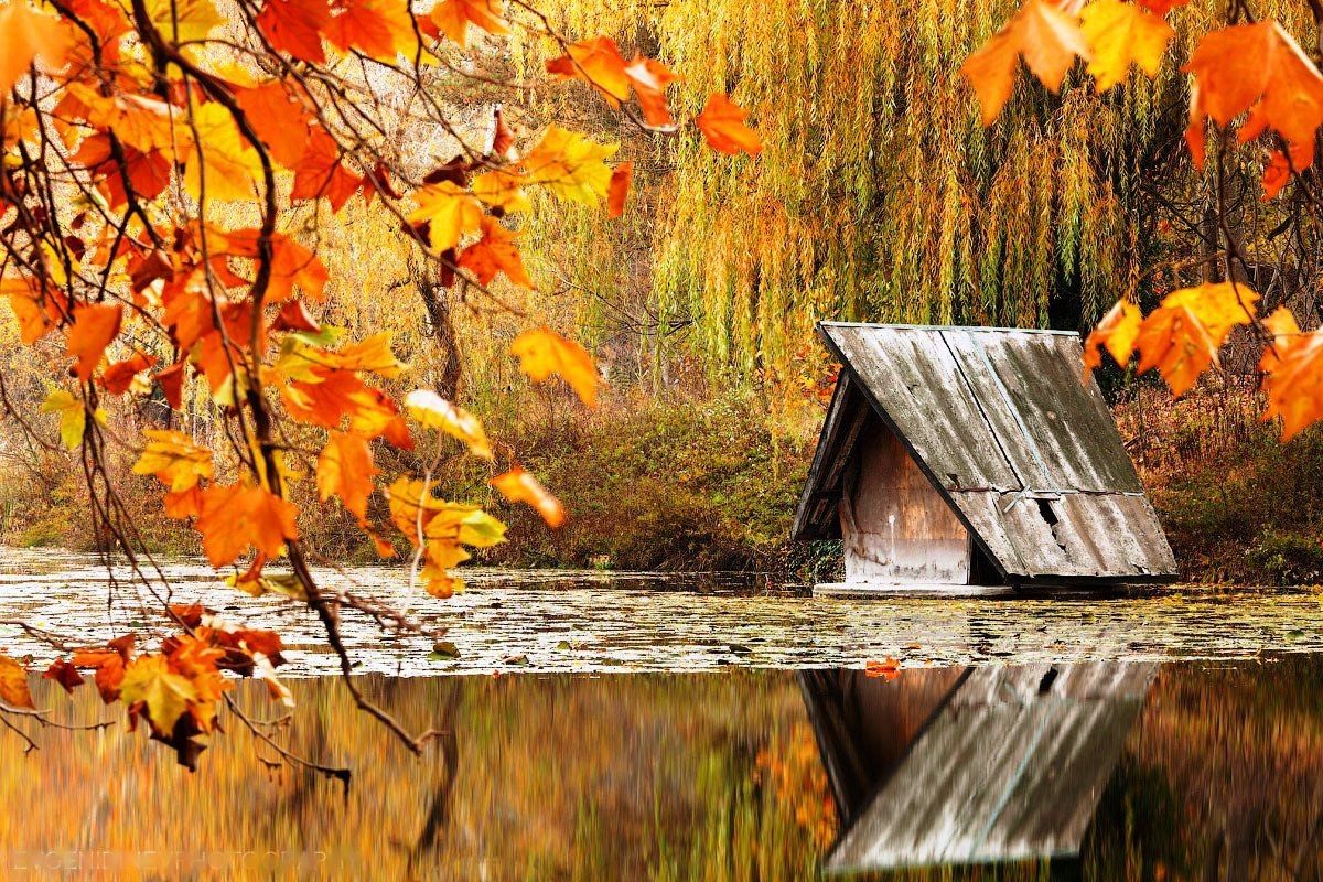 HD Nature Wallpapers, Landscape, Cute Desktop Images, Field, Mac