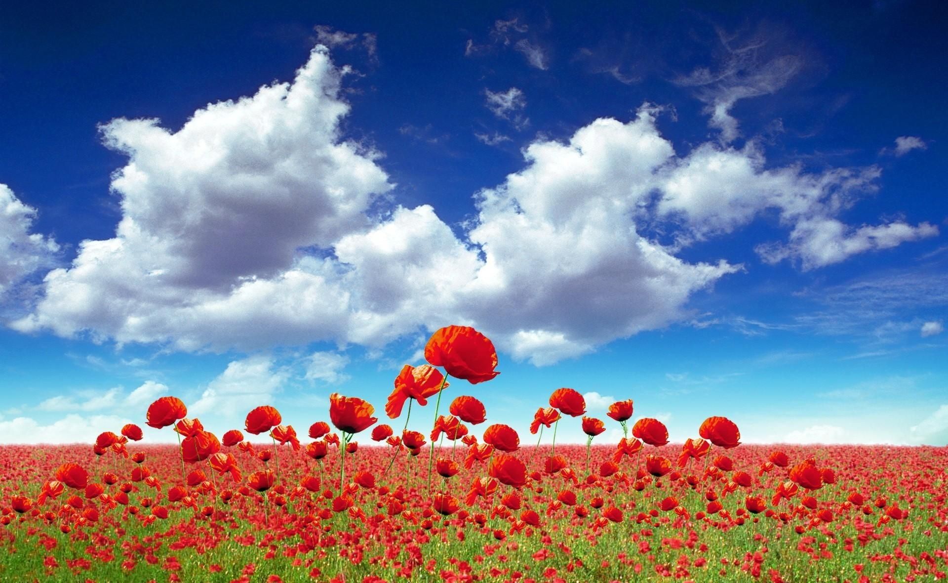 Sky Wallpaper HD # 6998672