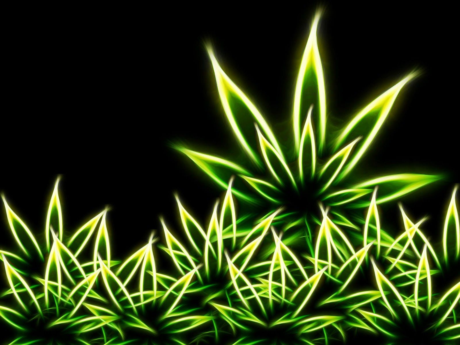 pic nuevas publicaciones: Weed Wallpaper Free