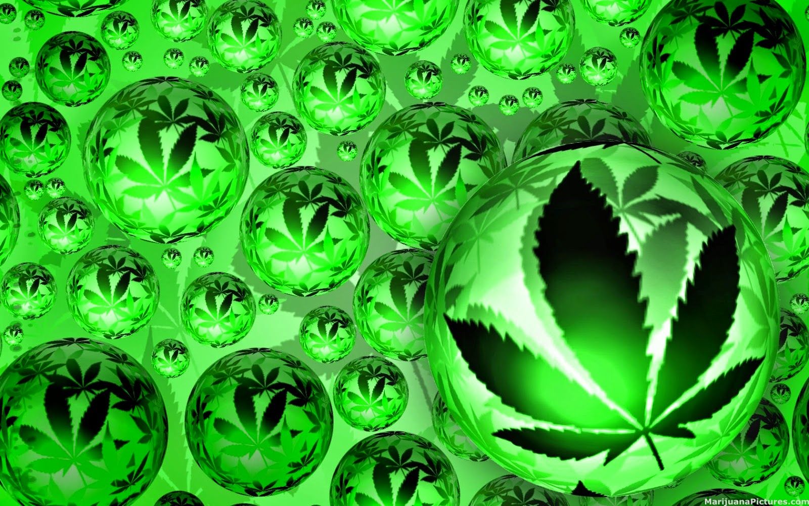 WEED | MARIHUANA | CANABIS | HIERBA | RAGGAE | COMESTIBLES PARA FUMAR