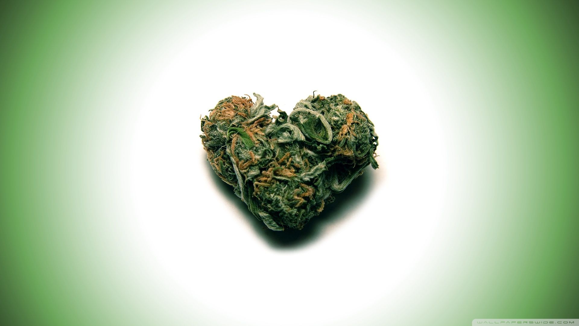 Hierba fondos de pantalla hd Galería