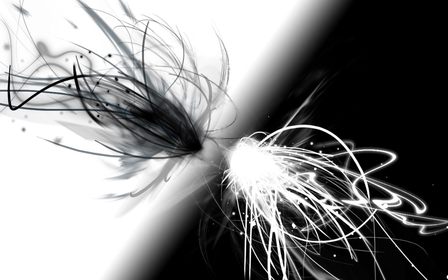 17773 fondo de pantalla en blanco y negro 1080p