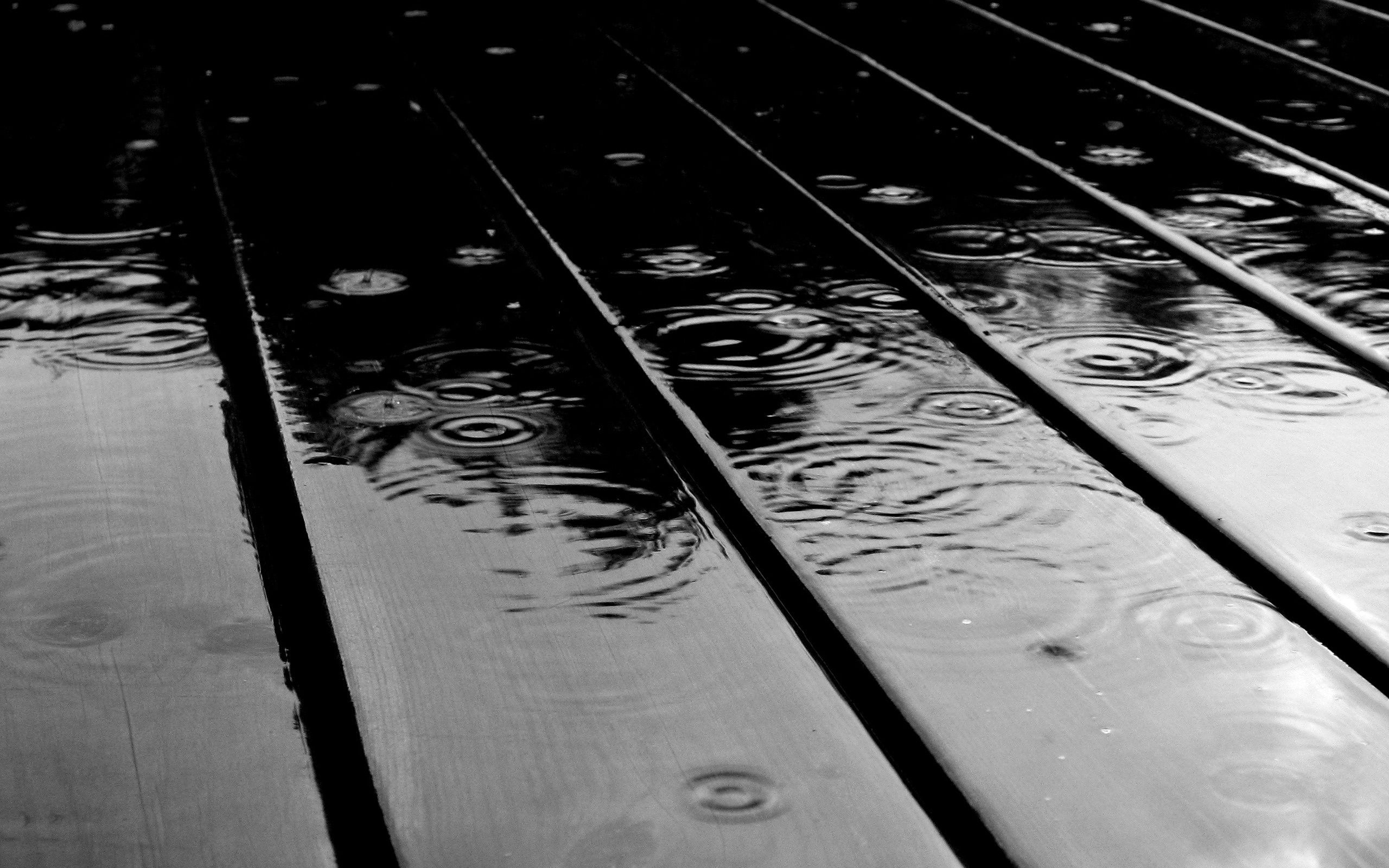 Fondo de pantalla en blanco y negro 15 - [2560x1600]