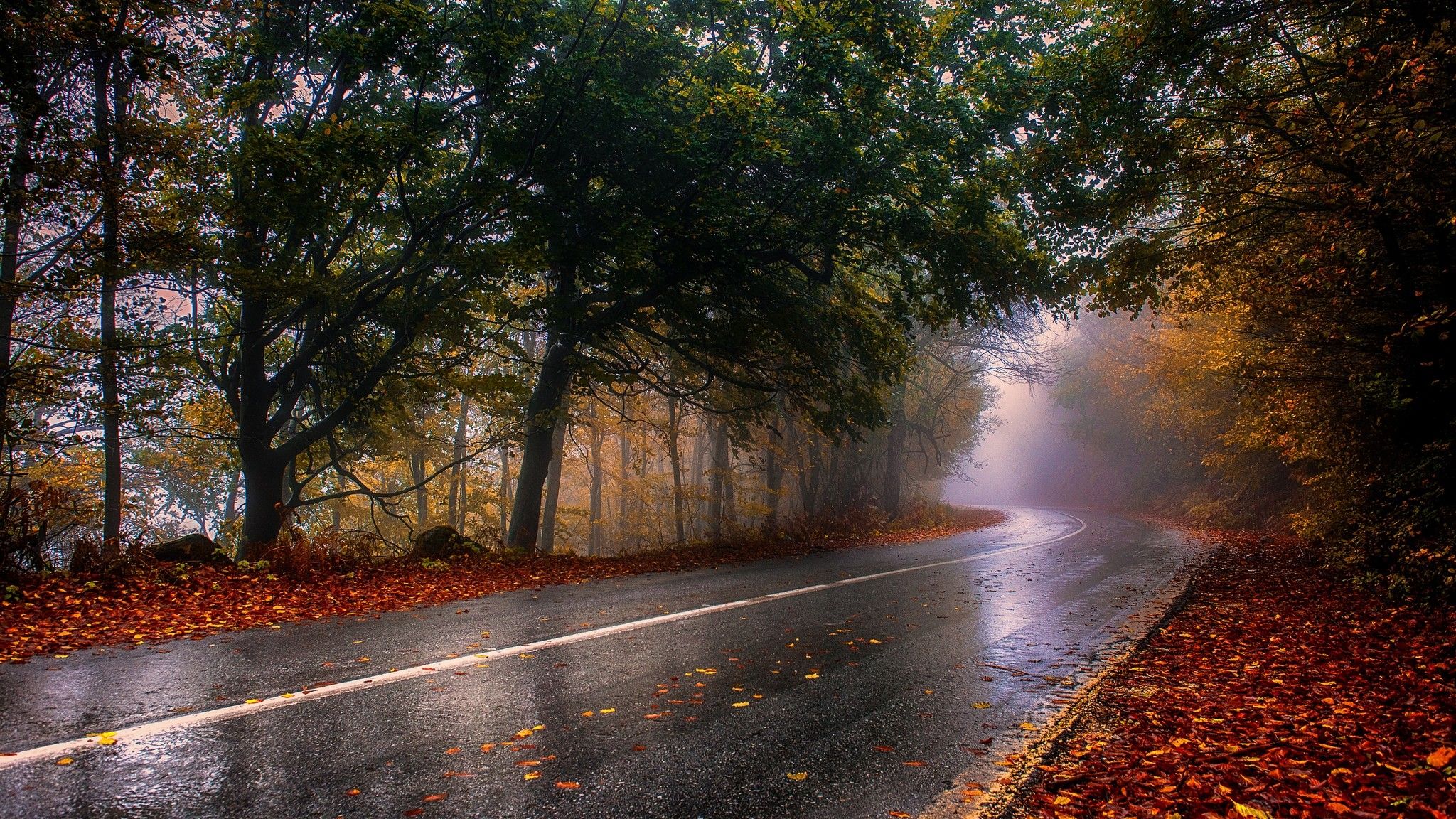 Caminos mojados Fondos de pantalla de alta calidad | Descargar gratis