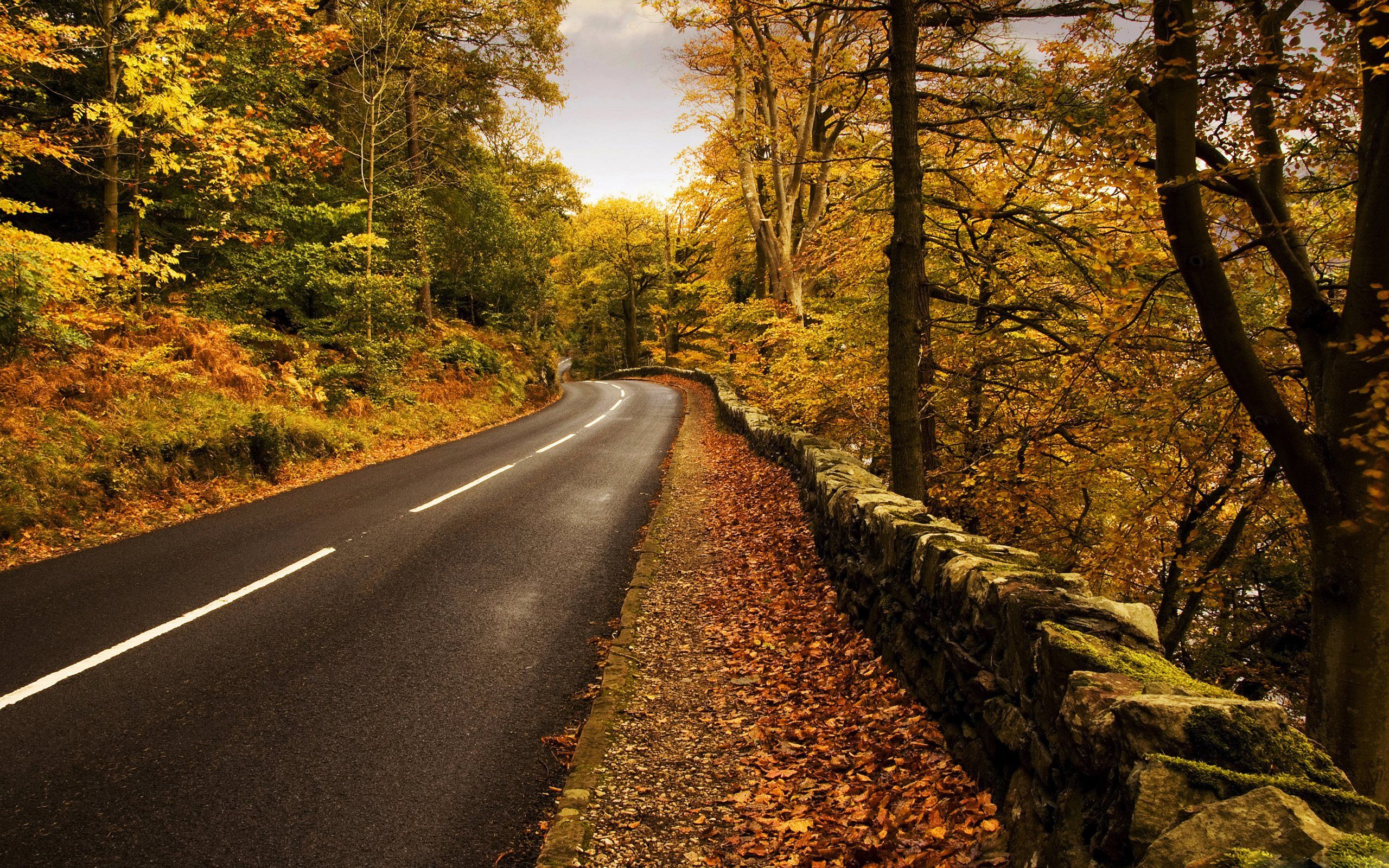 Road Wallpapers HD