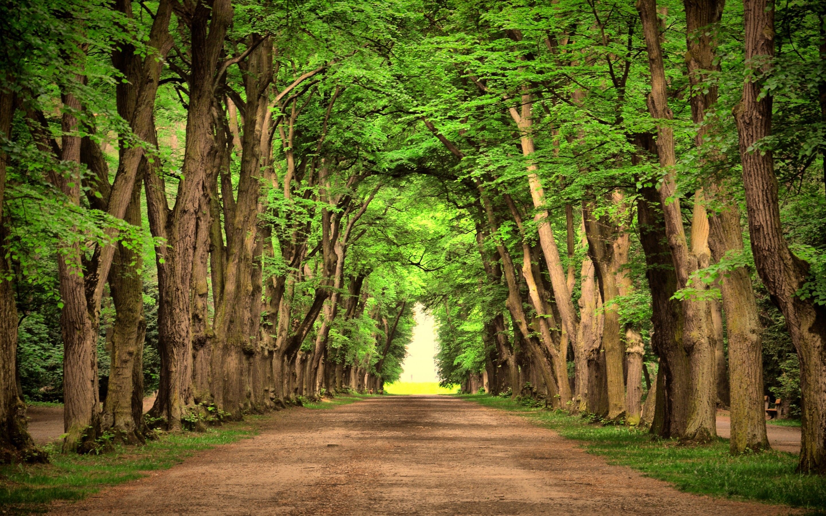 Caminos del campo Wallpapers HD