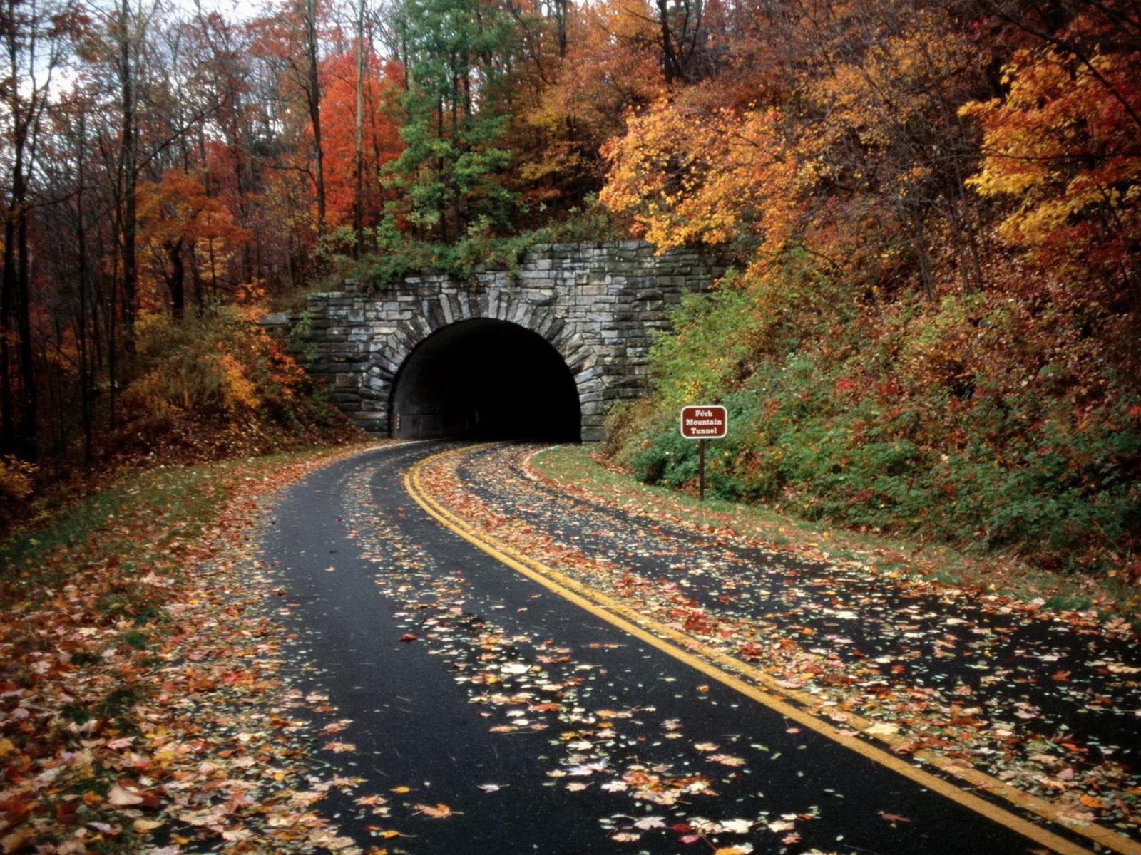 Fotos Caminos de la naturaleza