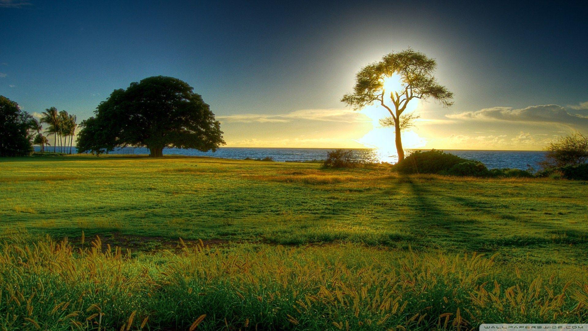 Nature Wallpapers
