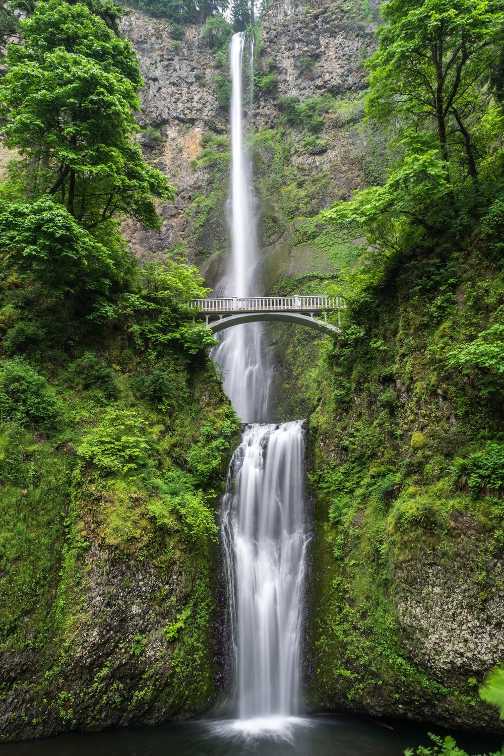 Fondos de la naturaleza: Descarga gratuita en HD [500+ HQ] | Unsplash