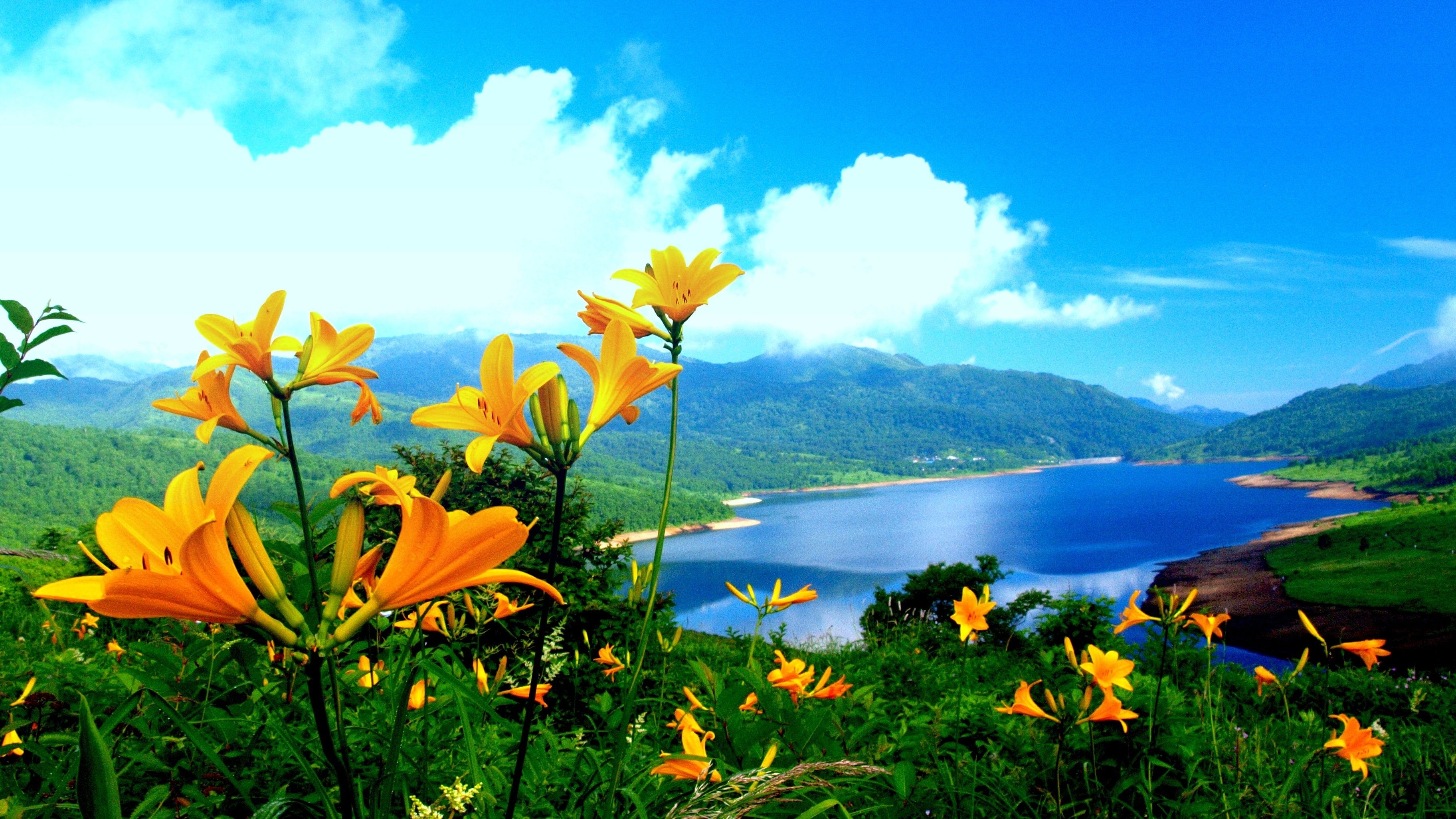 Nature Wallpaper 01145 - Baltana