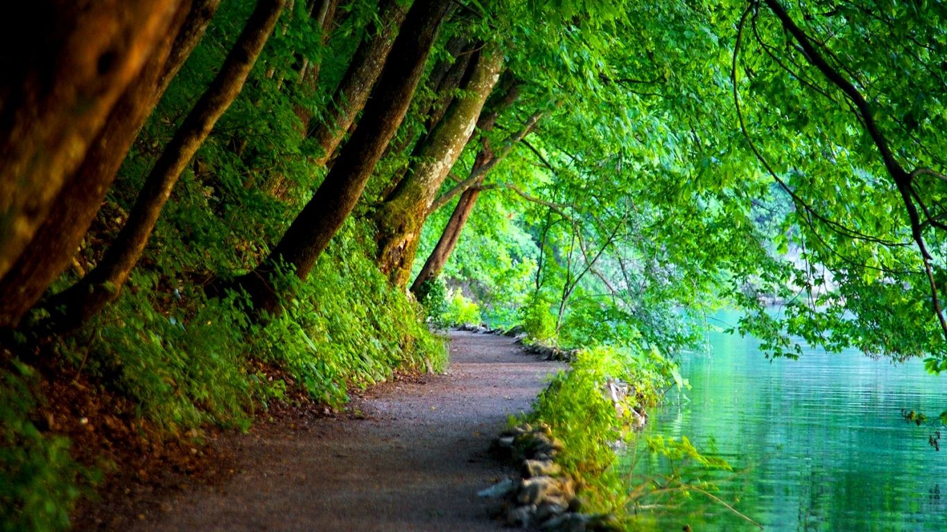 Full Hd Nature Wallpapers - Nature Hd Wallpapers para Windows 10