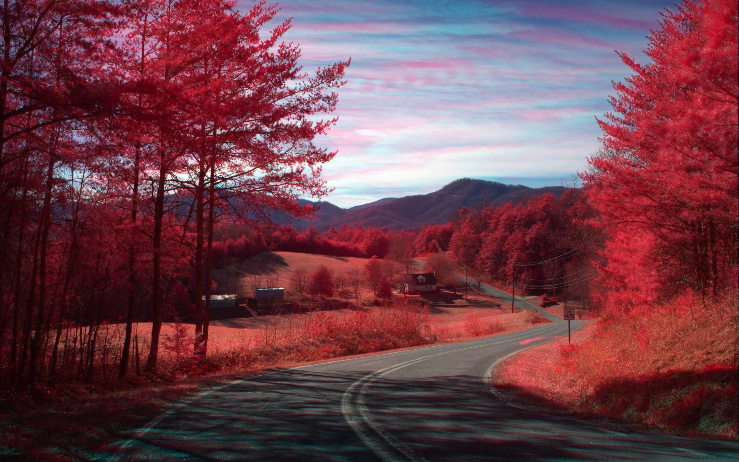 Red Nature Wallpaper (más de 65 imágenes)