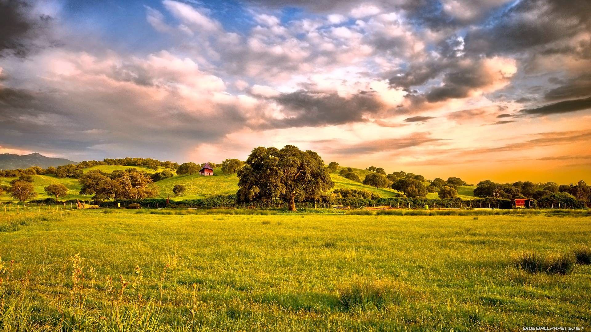 65+ Naturaleza 1920X1080 Fondos de pantalla