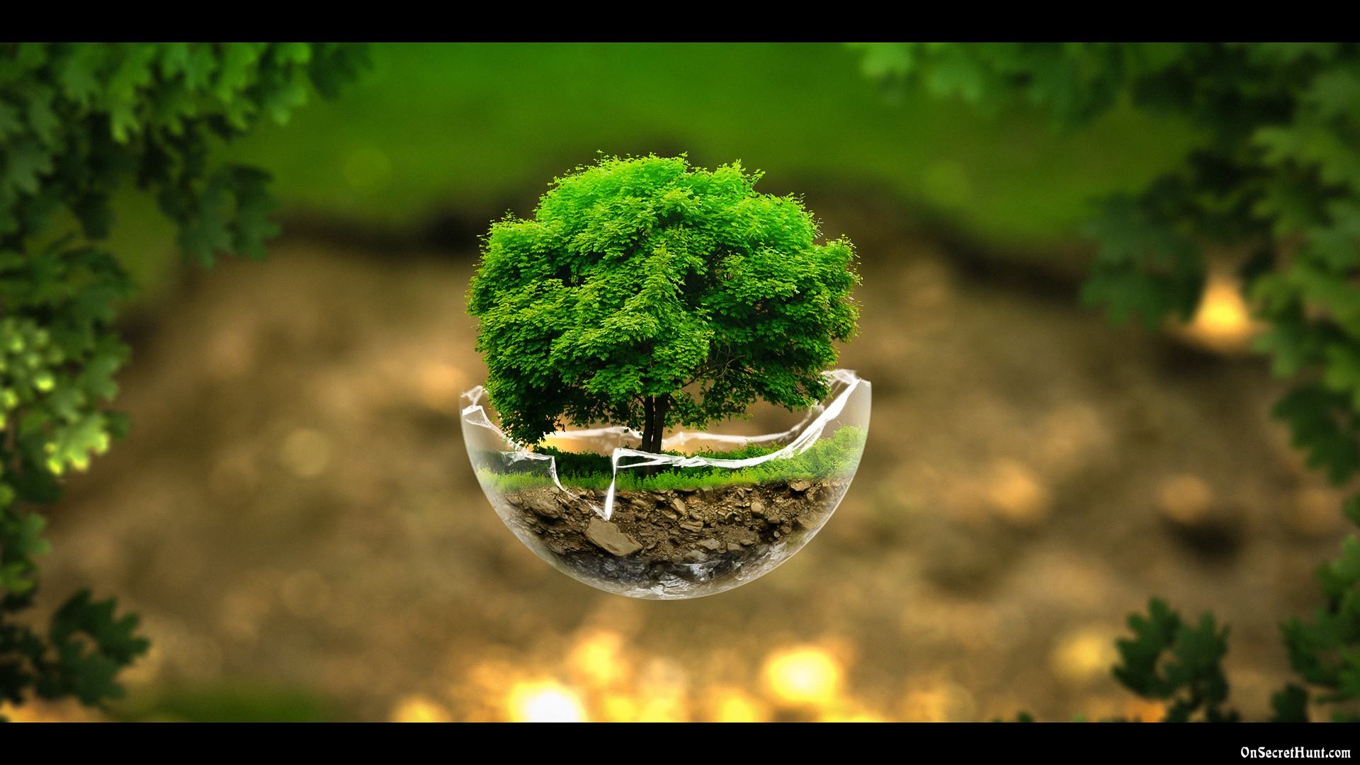 nature-wallpapers-nature-wallpaper-latest-beautiful-wallpapers