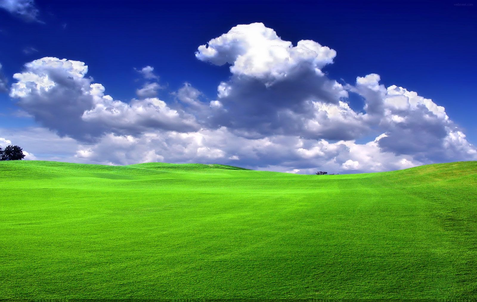 50 hermosos fondos de pantalla de naturaleza para tu escritorio móvil y tableta - HD