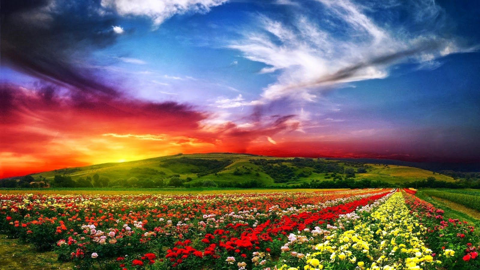 Full HD Size Nature Wallpapers Descargas gratuitas Full HD High Res