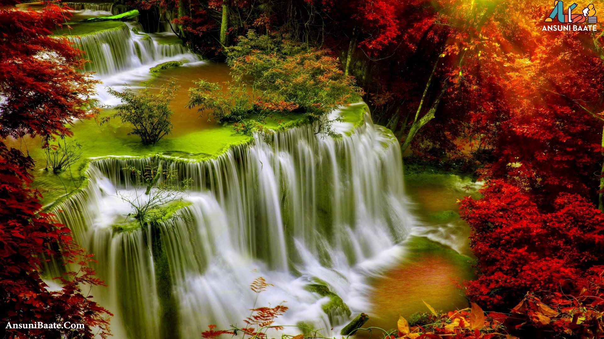 Nature Wallpaper Full HD Gallery Images Photo Descarga gratuita